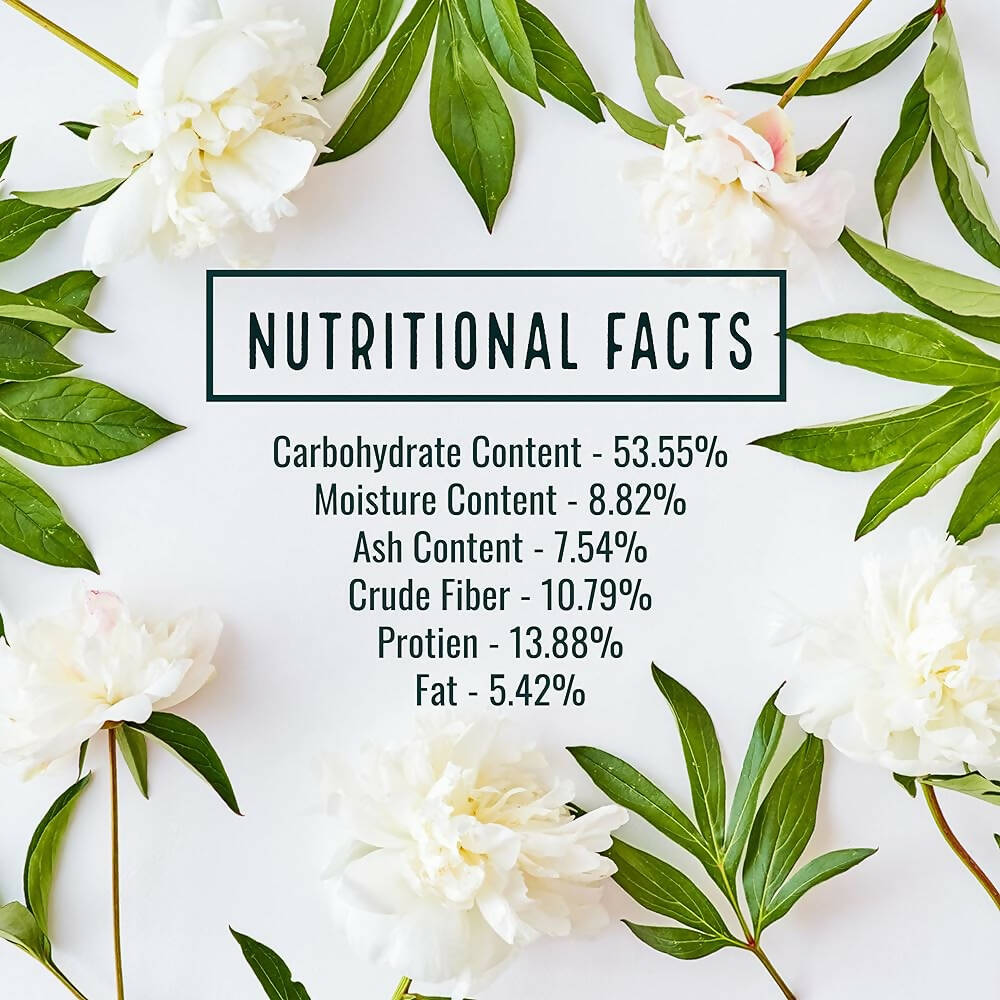 https://cdn.shopify.com/s/files/1/1857/6931/files/8uk0SsPLRX-351901.jpg?v=1736151116