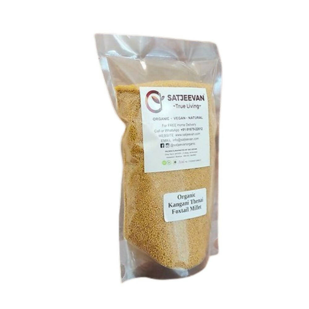 https://cdn.shopify.com/s/files/1/1857/6931/products/8v7J2invUN.jpg?v=1707475504