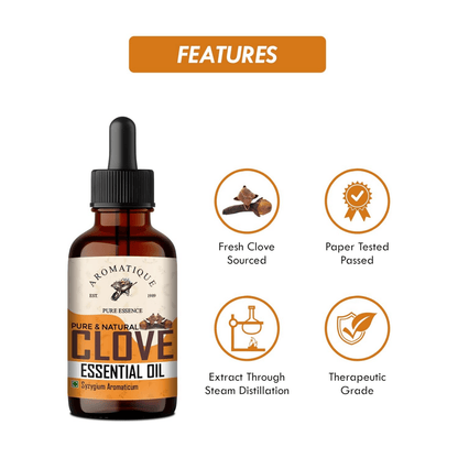 https://cdn.shopify.com/s/files/1/1857/6931/files/8vR936BhGf-525089.png?v=1736149329