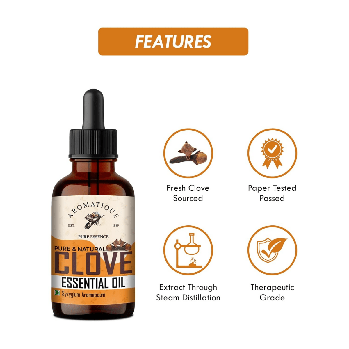 https://cdn.shopify.com/s/files/1/1857/6931/files/8vR936BhGf-525089.png?v=1736149329