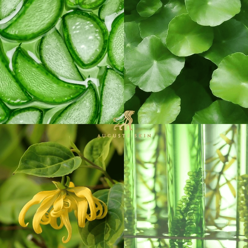 https://cdn.shopify.com/s/files/1/1857/6931/files/8y7GE7MUWg-633267.png?v=1736150079