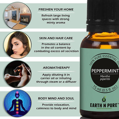 https://cdn.shopify.com/s/files/1/1857/6931/products/8yUd1V62yj.jpg?v=1646214309