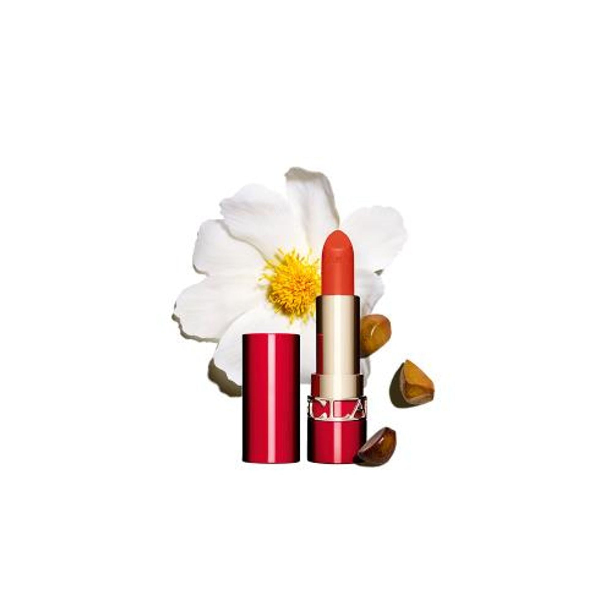 https://cdn.shopify.com/s/files/1/1857/6931/files/90fb8d03666057162961_2.jpg?v=1769845361