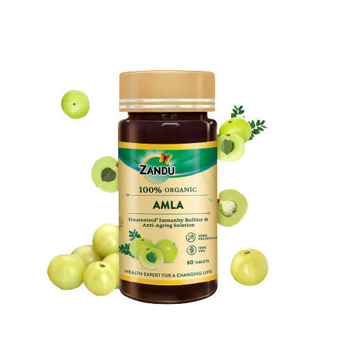 Image 1 of 60 tabs for the product Zandu Amla Tablets