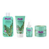 Image 1 of kit for the product PLIX The Plant Fix Rosemary Anti Hairfall Kit (Serum, Shampoo, Conditioner & Hair Mask)