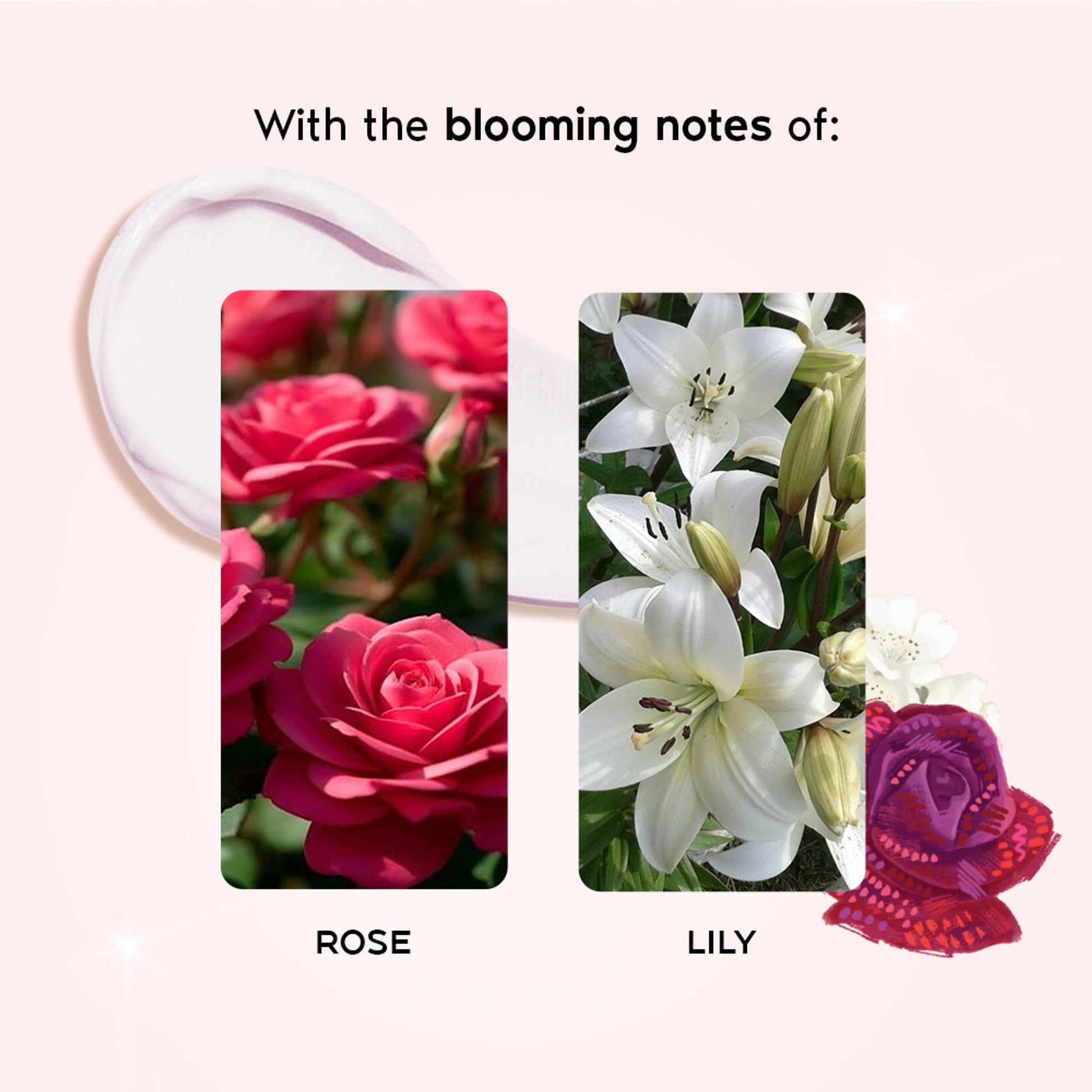 https://cdn.shopify.com/s/files/1/1857/6931/files/9162076WANDE00000531_4_6eb30afc-2cfe-4b6c-b94a-5e9e0a44746f.jpg?v=1768229986
