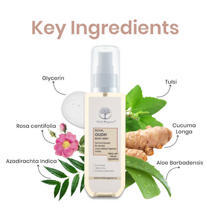https://cdn.shopify.com/s/files/1/1857/6931/files/91dziwZUYP.png?v=1729860359