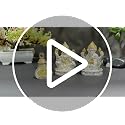 Image 2 of Gold Art India Oval Kamal Laxmi Ganesha Silver Matte Idol for Home with Golden Jewelry and Gold Plated Coin 3" Inch