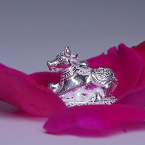 Image 4 of Dista Silvers Small Nandi 11g