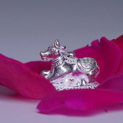 Image 4 of Dista Silvers Small Nandi 11g