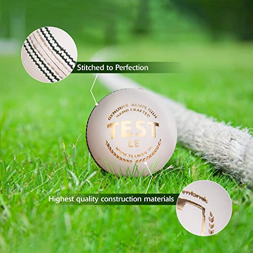 Image 6 of SG Cricket Balls Test LE (White)