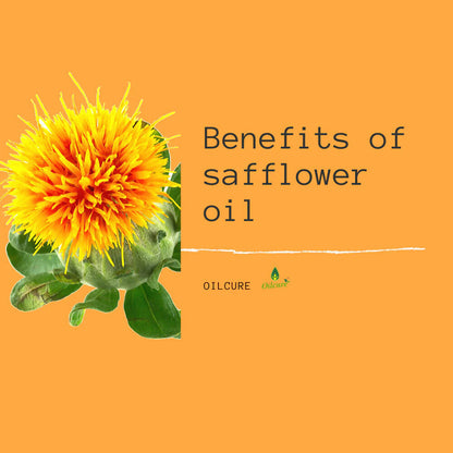 https://cdn.shopify.com/s/files/1/1857/6931/files/946S50TQmb.jpg?v=1745575470