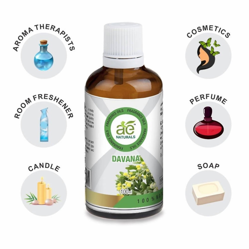 https://cdn.shopify.com/s/files/1/1857/6931/files/95ZRqeGSP1-101568.jpg?v=1736143743