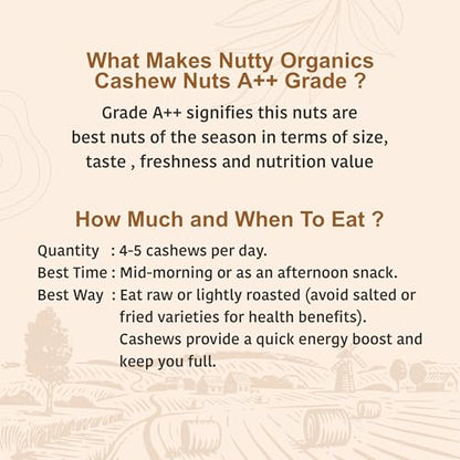 Image 4 of NUTTY ORGANICS Whole Cashew Nuts 1000 Gm