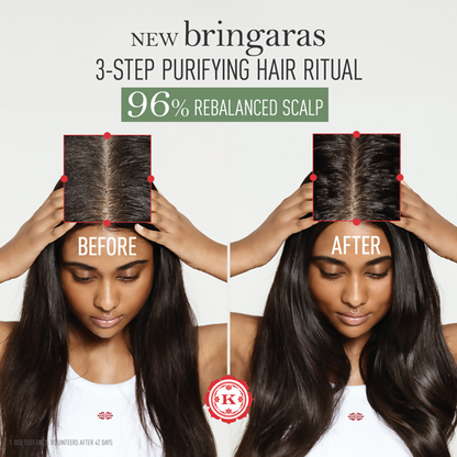 https://cdn.shopify.com/s/files/1/1857/6931/files/9635tdMQue.png?v=1758711340