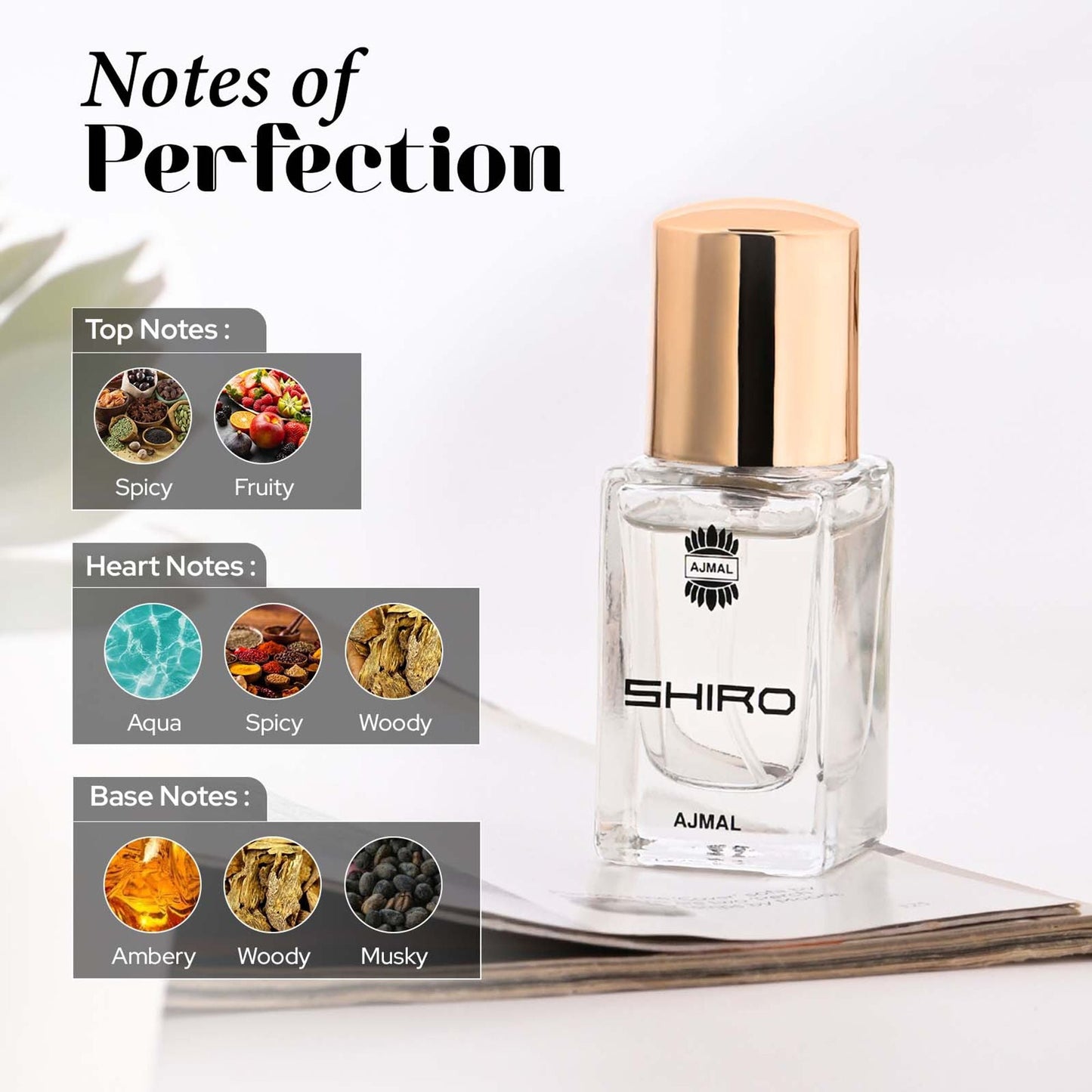 https://cdn.shopify.com/s/files/1/1857/6931/files/963f3228906066311895a_5.jpg?v=1779877739