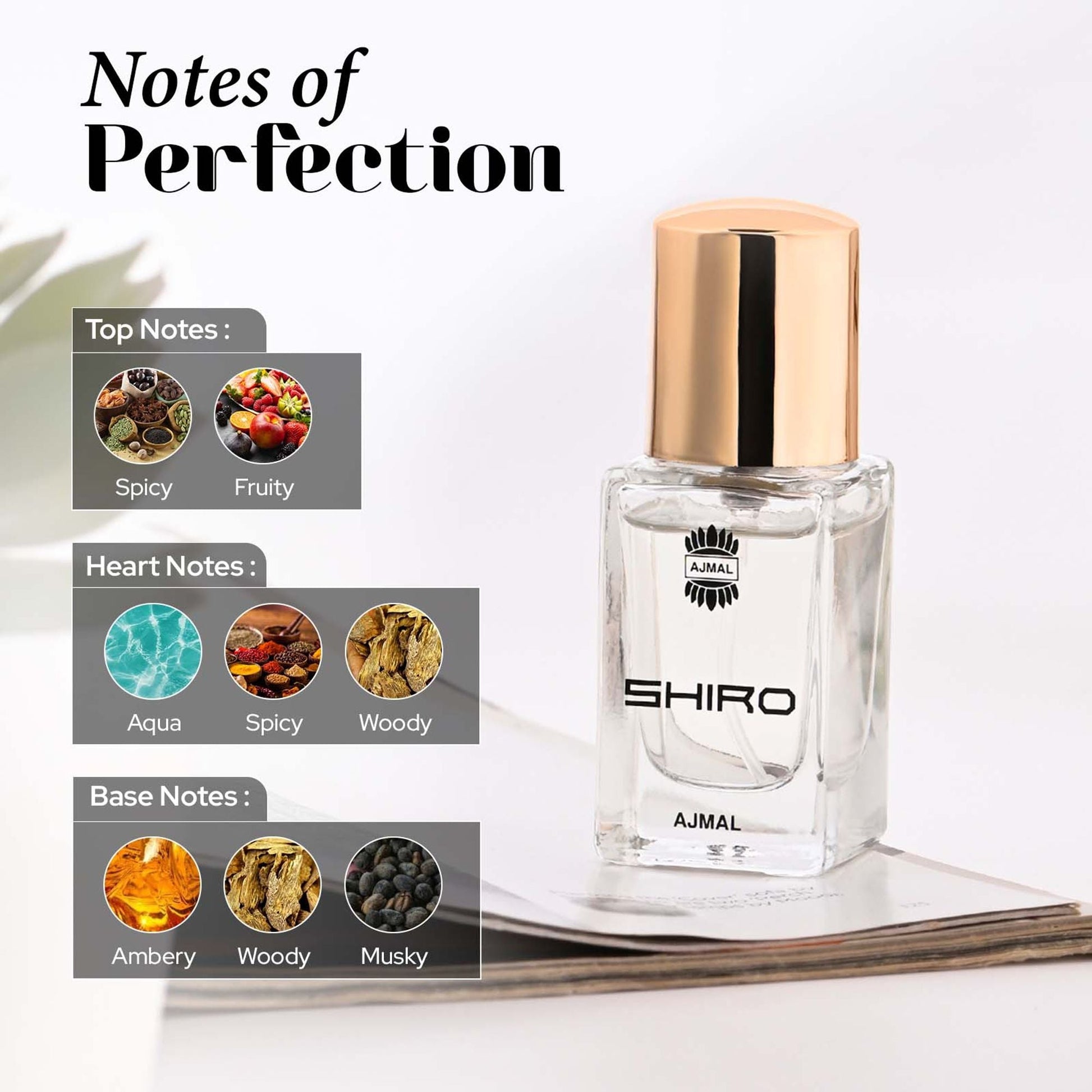 https://cdn.shopify.com/s/files/1/1857/6931/files/963f3228906066311895a_5.jpg?v=1779877739