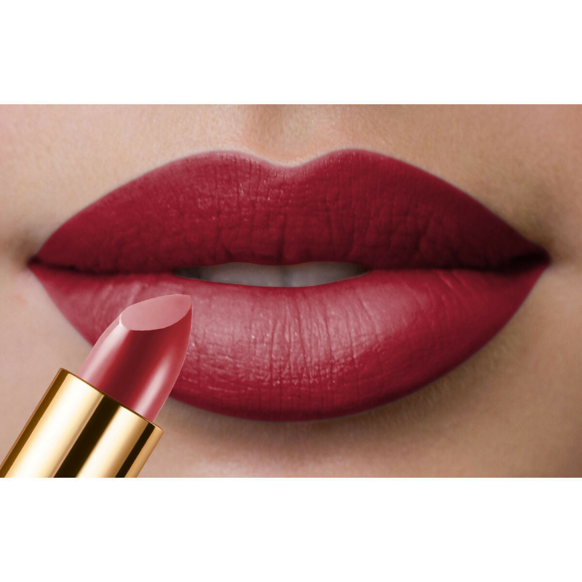 https://cdn.shopify.com/s/files/1/1857/6931/files/975SbFZvCB.jpg?v=1744889659