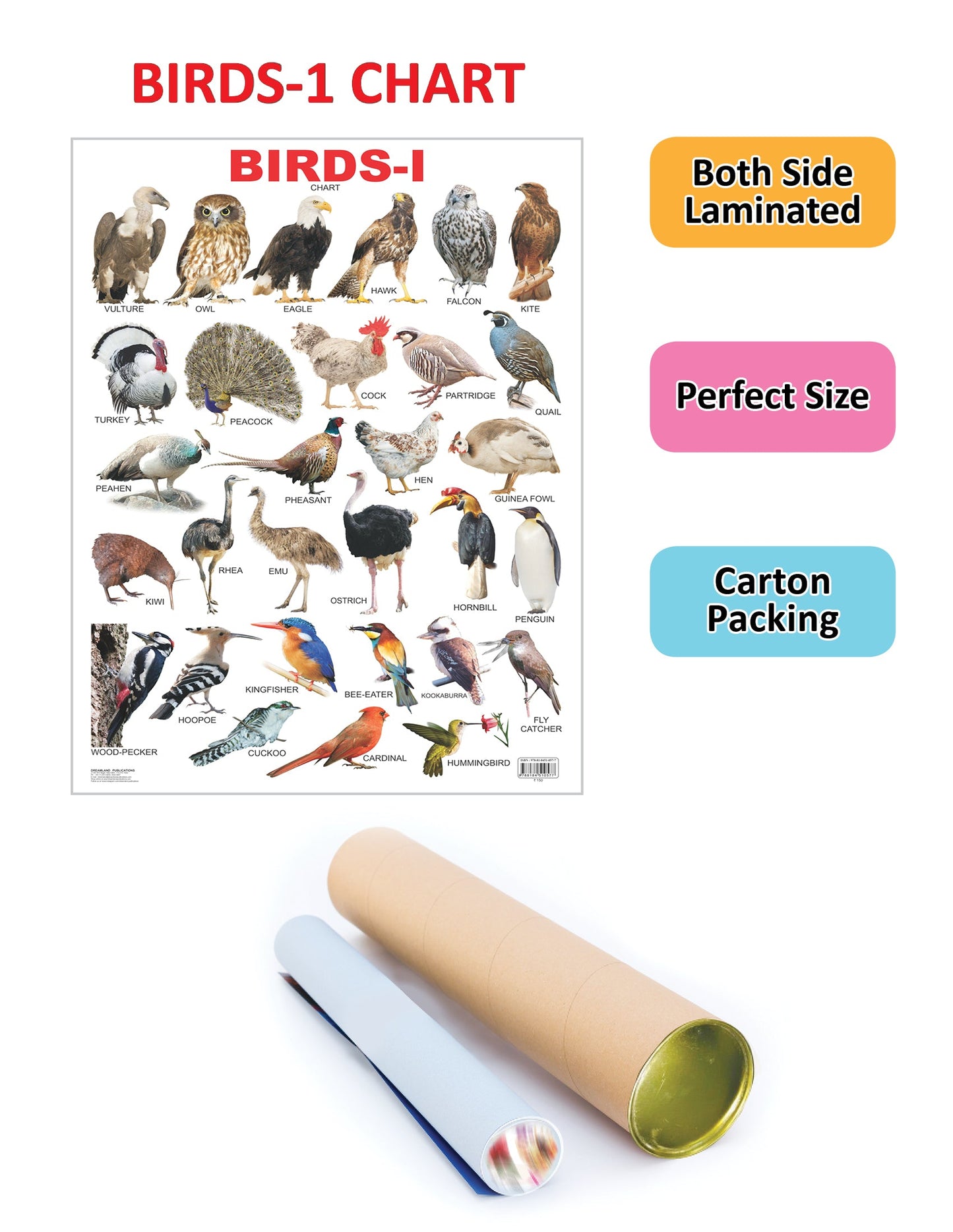 https://cdn.shopify.com/s/files/1/1857/6931/products/9788184510577_2.jpg?v=1684575329
