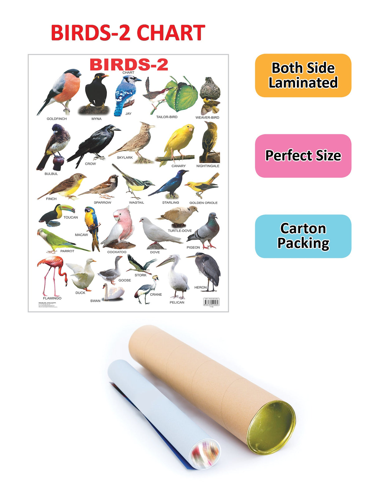 Image 2 of Dreamland Publications Educational Chart for Kids - Birds-2