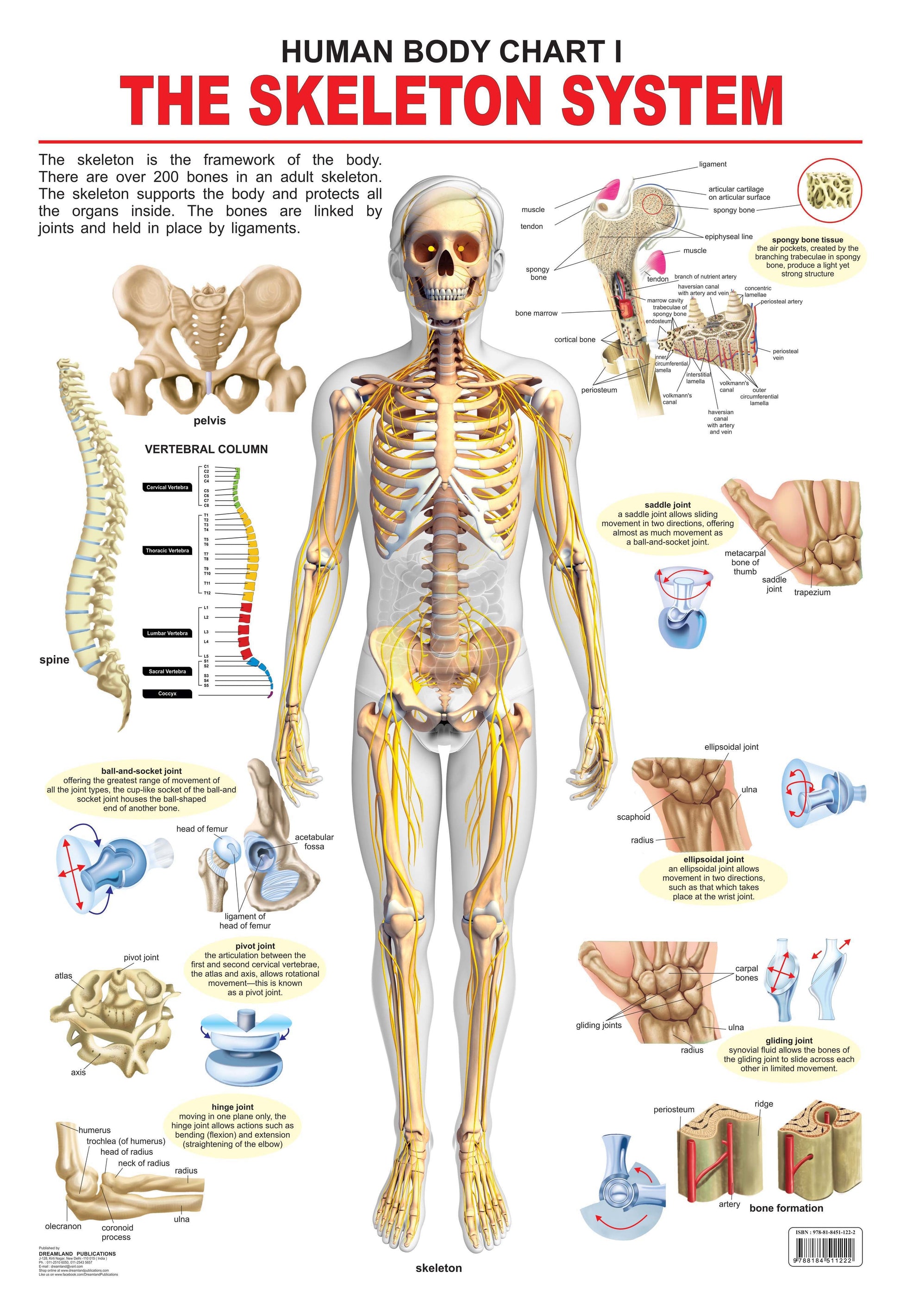 https://cdn.shopify.com/s/files/1/1857/6931/products/9788184511222_1.jpg?v=1687239107