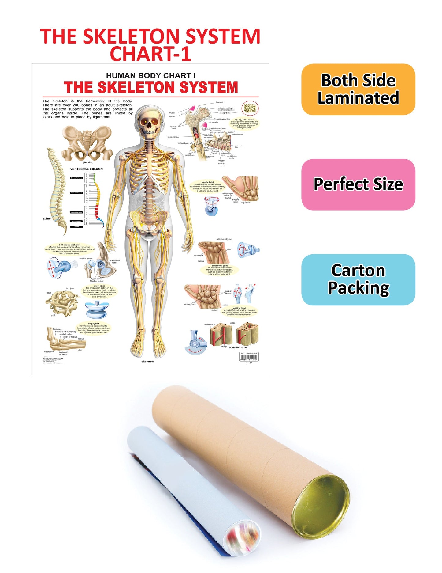 https://cdn.shopify.com/s/files/1/1857/6931/products/9788184511222_2.jpg?v=1687239107