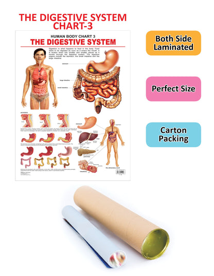 https://cdn.shopify.com/s/files/1/1857/6931/products/9788184511246_2.jpg?v=1707197668