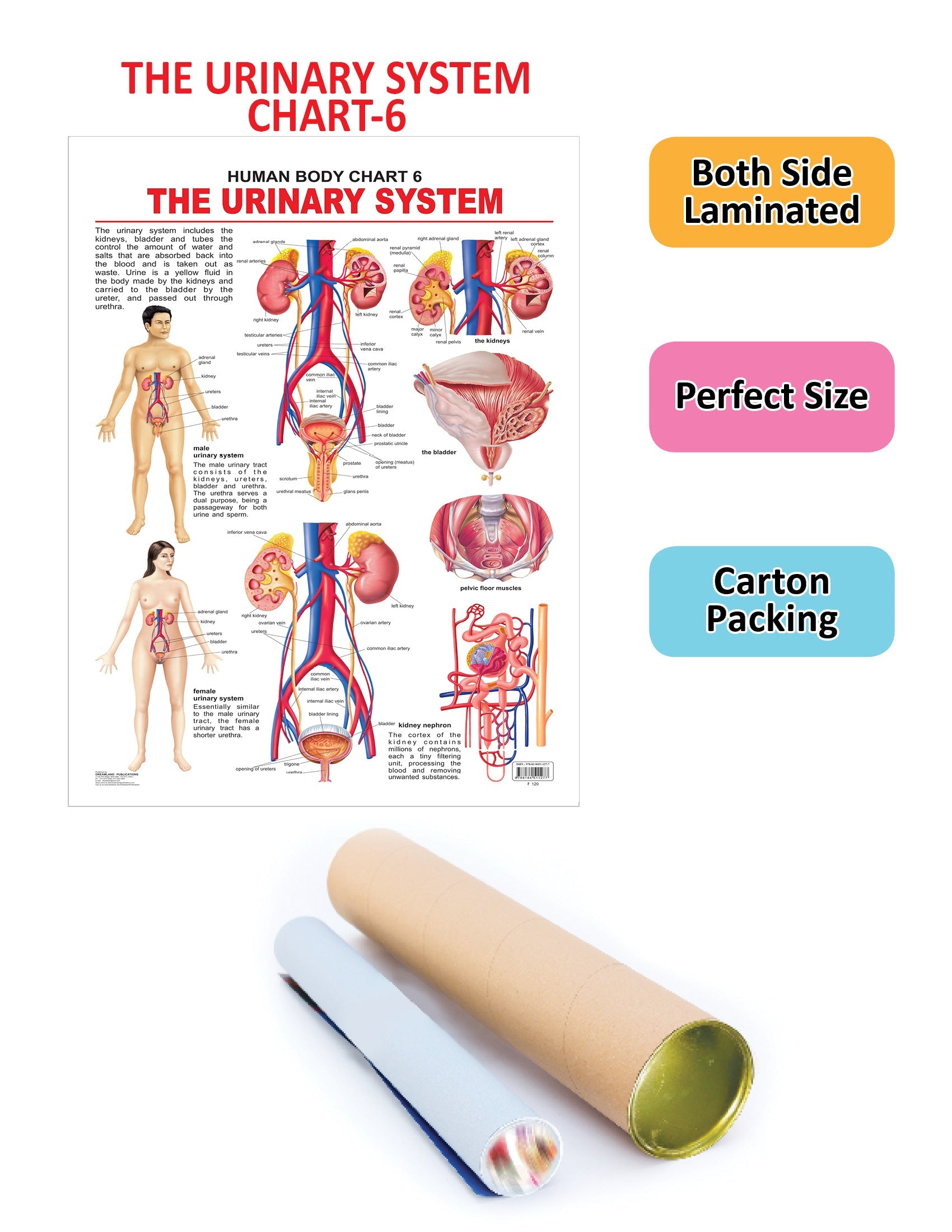 https://cdn.shopify.com/s/files/1/1857/6931/products/9788184511277_2.jpg?v=1684569101
