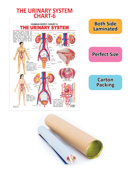 https://cdn.shopify.com/s/files/1/1857/6931/products/9788184511277_2.jpg?v=1684569101