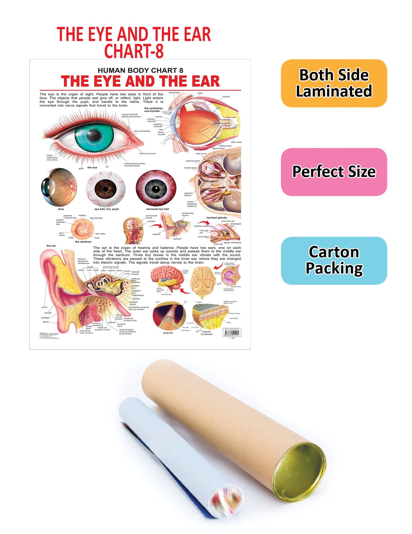 https://cdn.shopify.com/s/files/1/1857/6931/products/9788184511291_2.jpg?v=1684563329