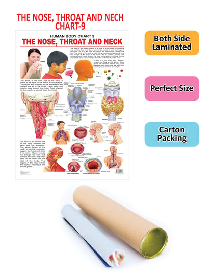 https://cdn.shopify.com/s/files/1/1857/6931/products/9788184511307_2.jpg?v=1684568330