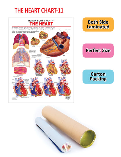 https://cdn.shopify.com/s/files/1/1857/6931/products/9788184511321_2.jpg?v=1684568376
