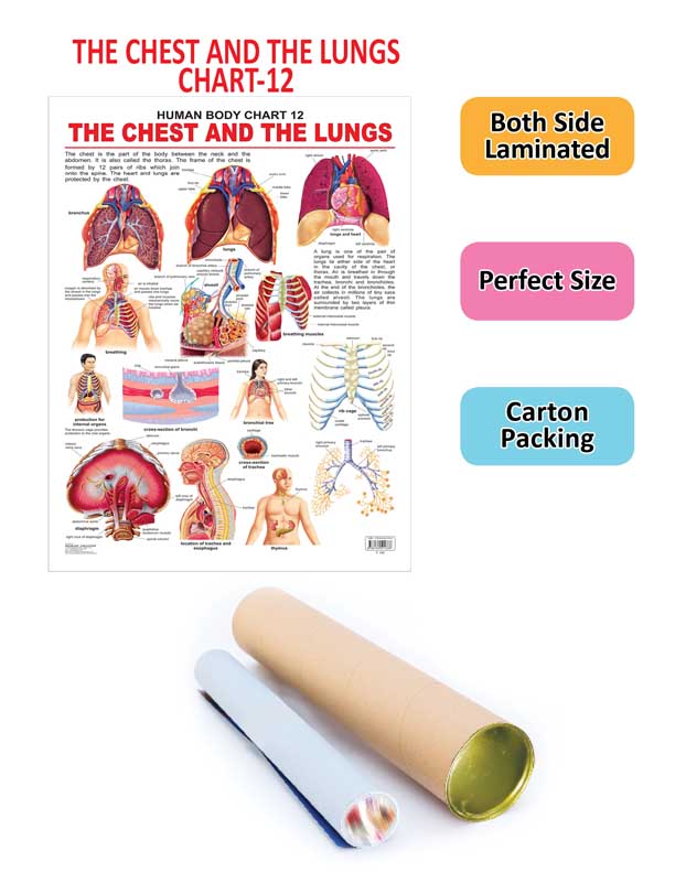 https://cdn.shopify.com/s/files/1/1857/6931/products/9788184511338_2.jpg?v=1684563281