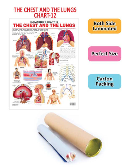 https://cdn.shopify.com/s/files/1/1857/6931/products/9788184511338_2.jpg?v=1684563281