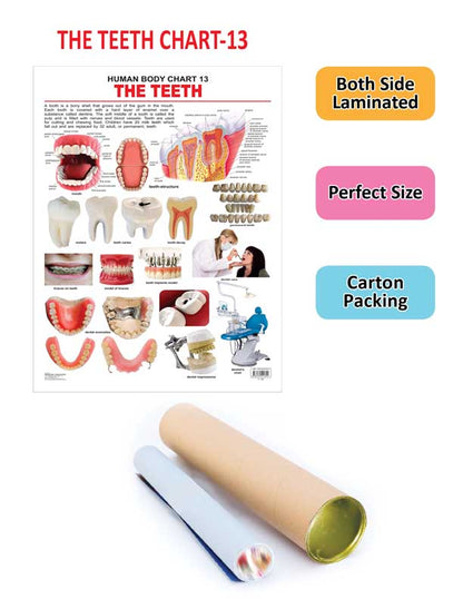 https://cdn.shopify.com/s/files/1/1857/6931/products/9788184511345_2.jpg?v=1684567289