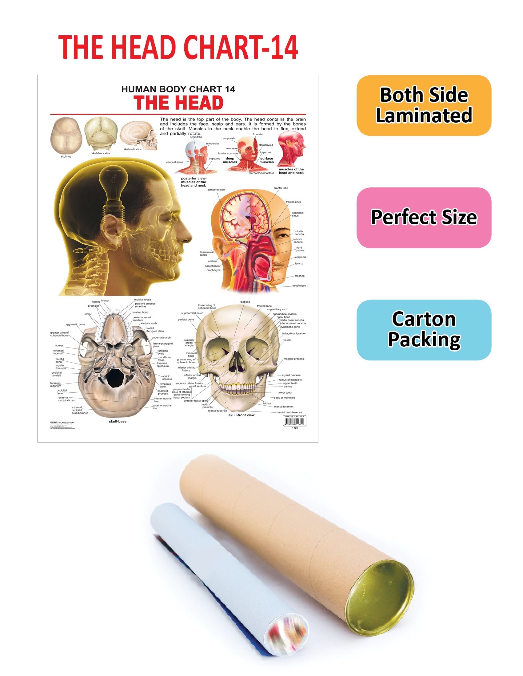 https://cdn.shopify.com/s/files/1/1857/6931/products/9788184511352_2.jpg?v=1684567255