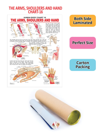 https://cdn.shopify.com/s/files/1/1857/6931/products/9788184511376_2.jpg?v=1684567321