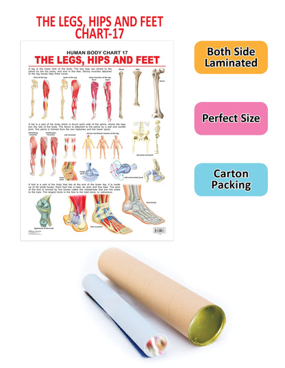 https://cdn.shopify.com/s/files/1/1857/6931/products/9788184511383_2.jpg?v=1684563219