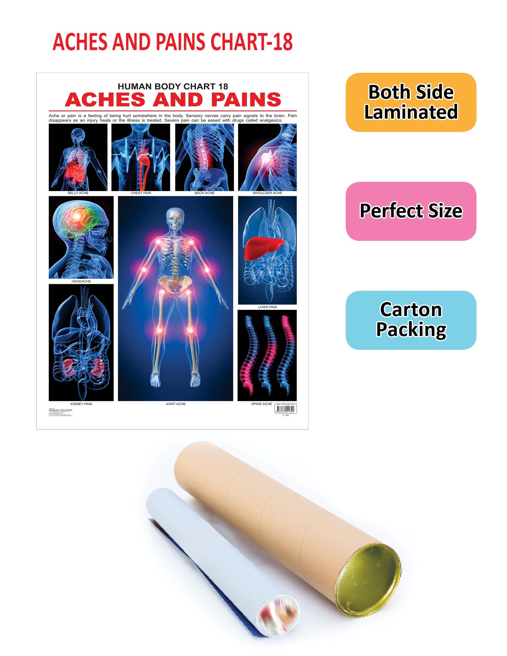 https://cdn.shopify.com/s/files/1/1857/6931/products/9788184511390_2.jpg?v=1684566403