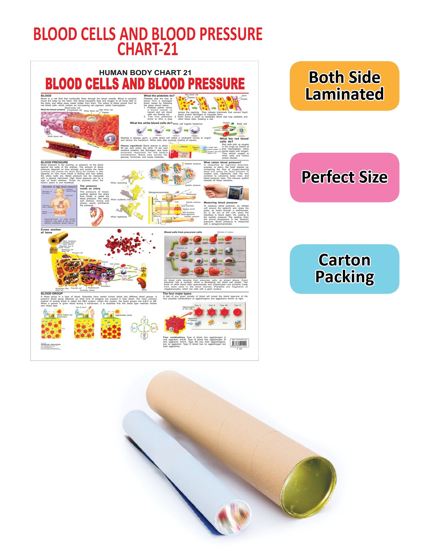 https://cdn.shopify.com/s/files/1/1857/6931/products/9788184511420_2.jpg?v=1684565696
