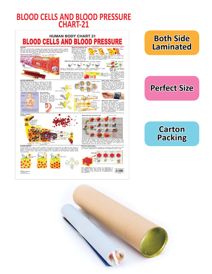 https://cdn.shopify.com/s/files/1/1857/6931/products/9788184511420_2.jpg?v=1684565696