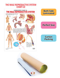 https://cdn.shopify.com/s/files/1/1857/6931/products/9788184511437_2.jpg?v=1684566421