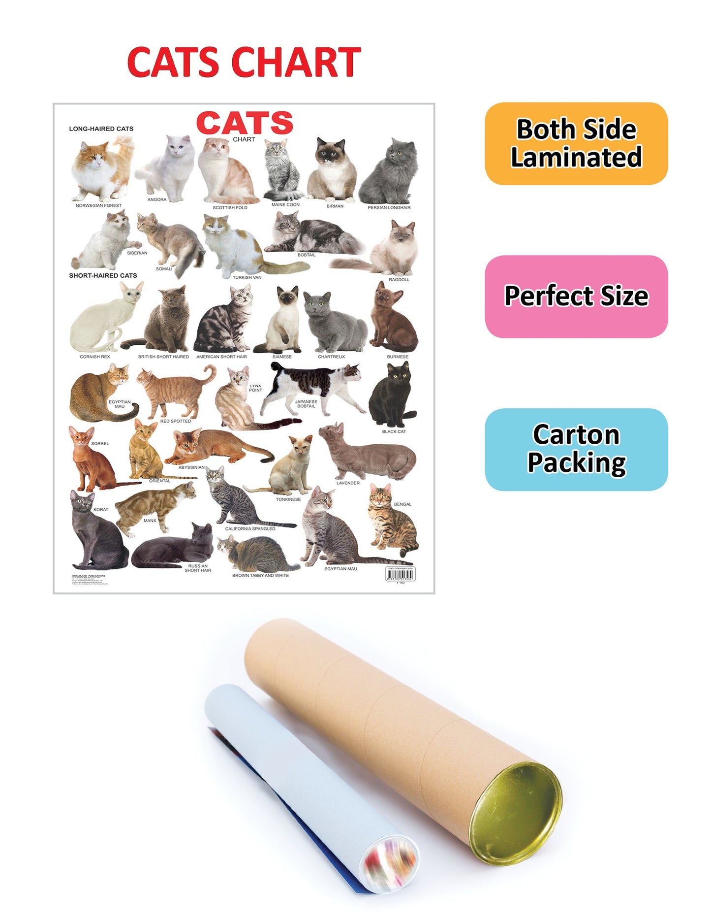 https://cdn.shopify.com/s/files/1/1857/6931/products/9788184513530_2.jpg?v=1684563498