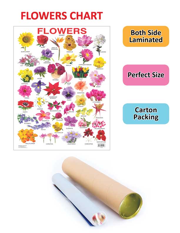 https://cdn.shopify.com/s/files/1/1857/6931/products/9788184513547_2.jpg?v=1738820974