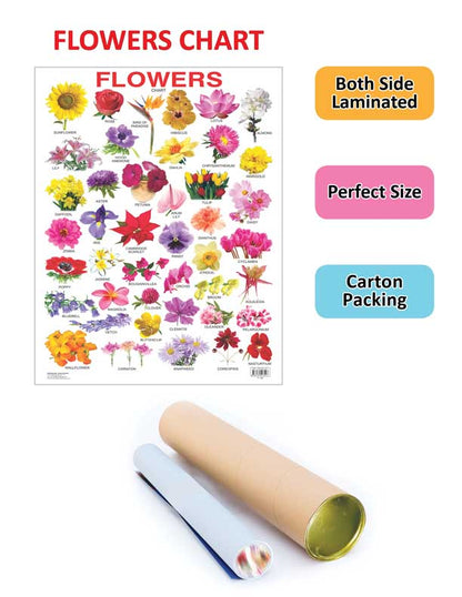 https://cdn.shopify.com/s/files/1/1857/6931/products/9788184513547_2.jpg?v=1738820974