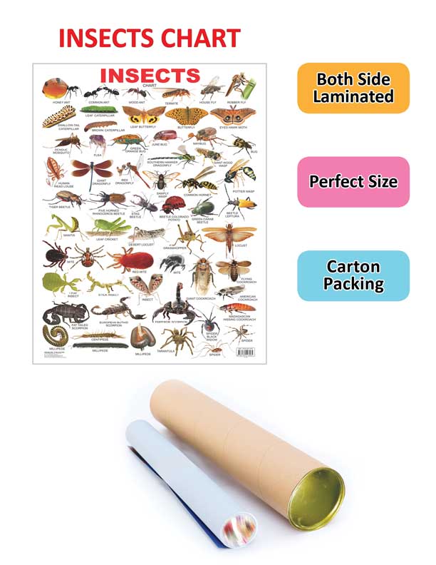 https://cdn.shopify.com/s/files/1/1857/6931/products/9788184513585_2.jpg?v=1684574877