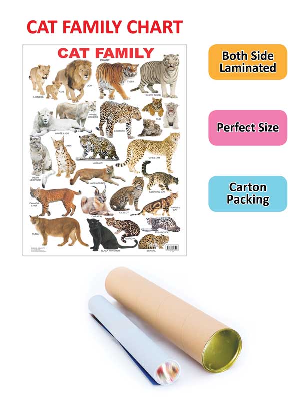 https://cdn.shopify.com/s/files/1/1857/6931/products/9788184513592_2.jpg?v=1738910205
