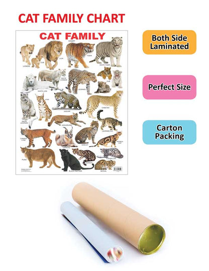 https://cdn.shopify.com/s/files/1/1857/6931/products/9788184513592_2.jpg?v=1738910205