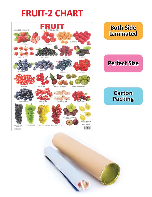 https://cdn.shopify.com/s/files/1/1857/6931/products/9788184516630_2.jpg?v=1684575230