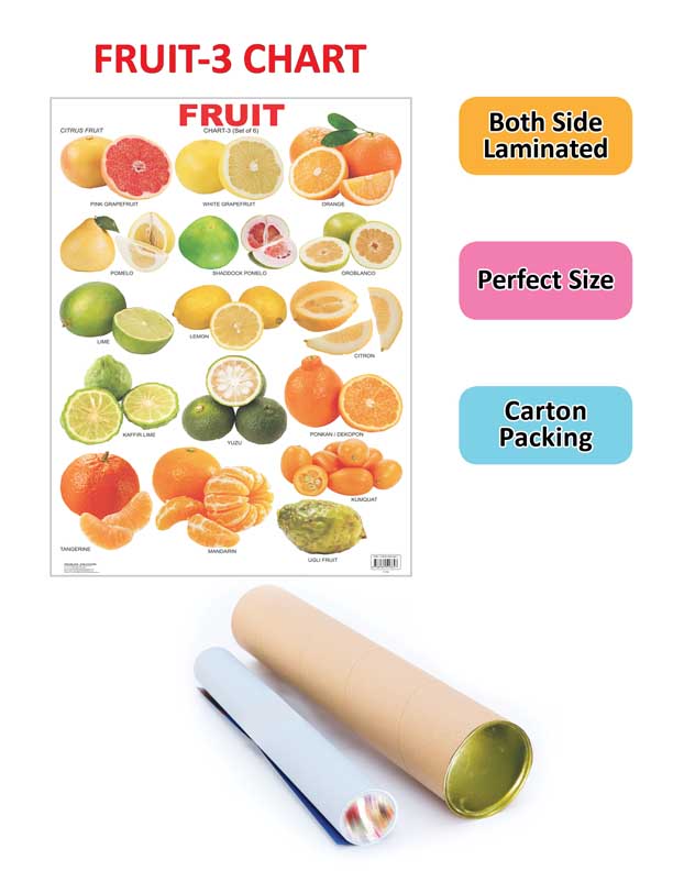 Image 2 of Dreamland Publications Educational Chart for Kids - Fruit Chart - 3